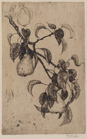 KG 09250
<br/>
tak van een pereboom
<br/>
<em>Heuff, Herman (1875-1945)</em>